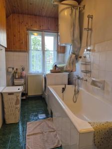 a bathroom with a tub and a sink and a window at Sovica in Bled +32 photos