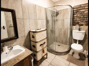 a bathroom with a shower and a toilet and a sink at Art Guest House in Lutzville +44 photos