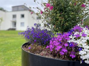 Gallery image of Førde Sommarhotell in Førde