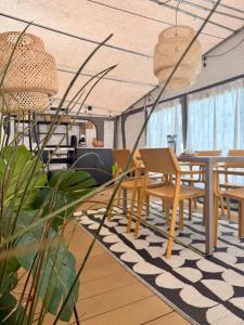 an office with tables and chairs and plants at Przyczepa FOREMKA w Molo Surf in Jastarnia