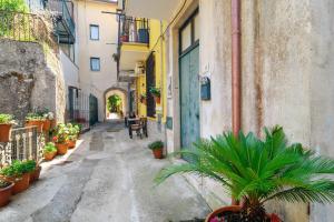 un vicolo in una città vecchia con piante in vaso di Alta Costa a Polvica