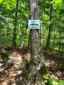 a blue sign on a tree in the woods at White Mountains A-Frame Off-Grid Stars Firepit in North Lovell