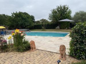 two statues of cats standing next to a swimming pool at Appartement à Tournefeuille in Tournefeuille