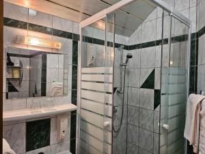 a bathroom with a shower and a sink at Haus am Schönberg in Sooss