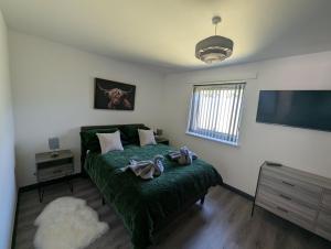 a bedroom with a green bed and a flat screen tv at Wee Catriona in Brodick