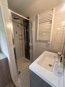 a bathroom with a sink and a shower at B&B Angueur in Montrem +43 photos