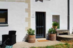 a front door of a house with potted plants at Chambre d'hôtes Château Austerlitz in Libourne