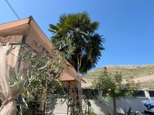 a palm tree in front of a house with a building at Apartments Ratkovic in Trebinje