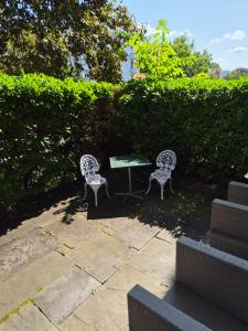 two chairs and a table in front of a hedge at YveSkinYoga in Zurich