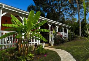a house with a white fence and a palm tree at Kaz'Arawak in Sainte-Rose