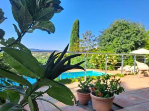 a patio with potted plants and a swimming pool at Bed and Breakfast with a View & Pool Bastide de Marie Grasse in Grasse