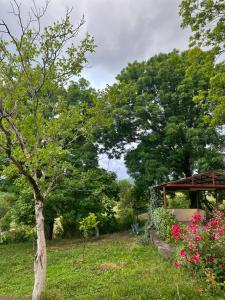a tree in a garden with a gazebo at BABILINA HOTELs in Simonet'i