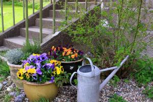 two pots of flowers sitting next to some stairs at The Lodge in Borre +16 photos
