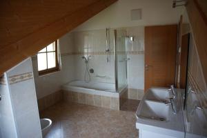 a bathroom with a shower and a tub and a sink at Apartments Rusctlea in Selva di Val Gardena +30 photos