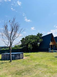 a tree in a field in front of a building at Kakhaberi Cottages in Stantsiya Batumi-Passazhirskaya