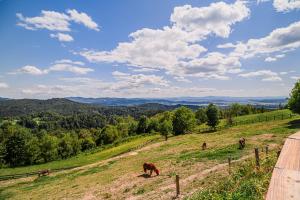 a group of horses grazing on a grassy hill at Tiny Panorama Cottages in Kamnik