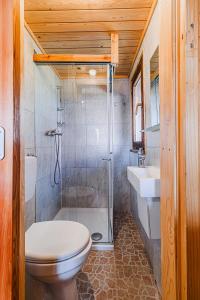 a bathroom with a toilet and a shower and a sink at Tiny Panorama Cottages in Kamnik