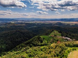 an aerial view of a green hill with trees at Tiny Panorama Cottages in Kamnik