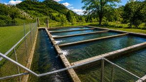 a pool of water with a fence in the middle at BB CHALET in Kolašin