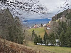 une vallée avec des arbres et des maisons sur une colline dans l'établissement Pizzeria-Pension Gambrinus, à Walzenhausen