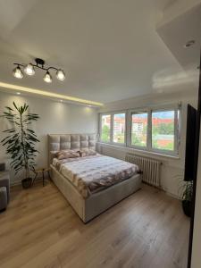 a bedroom with a large bed in a room with windows at Refresh apartman in Belgrade