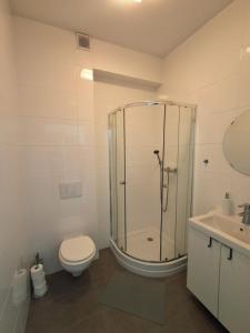 a bathroom with a shower and a toilet and a sink at Ludna 27 in Niechorze