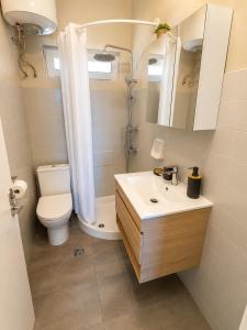 a bathroom with a sink and a toilet and a mirror at Porto Vigla in Tranakatika