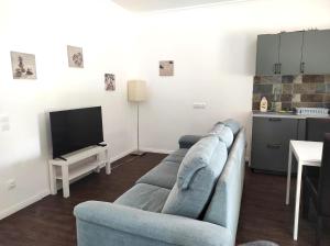 a living room with a blue couch and a tv at Parkside Home in Törökbálint