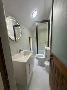 a bathroom with a sink and a toilet and a mirror at Bujtina Tata in Curraj +12 photos