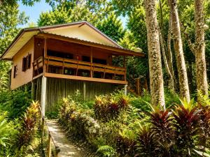 a house in the middle of a forest at Maewin Resort in Ban Huai Rin