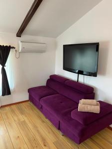 a purple couch in a living room with a flat screen tv at Casa Dyny 2 Mai in 2 Mai +16 photos
