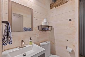 a bathroom with a sink and a toilet and a mirror at The Lupine | Cross Stone Cabins • Walk to Rangeley Lake in Rangeley +11 photos