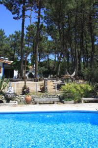 a blue swimming pool in a yard with trees at Casa do Páteo in Aldeia do Meco