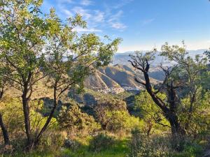 a view of the blue mountains from the top of a hill at Los Tumbaos - El pajar y despierta con unas vistas de ensueño in Laroya