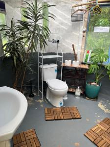 a bathroom with a toilet and a sink and plants at Akerama farm stay in Hukerenui +51 photos