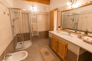 a bathroom with a sink and a shower and a toilet at Rossetti Big by AMA Val di Fassa in Pozza di Fassa