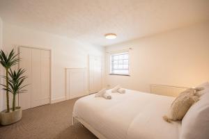 a bedroom with a white bed and a potted plant at 10 Northgate, Beccles in Beccles