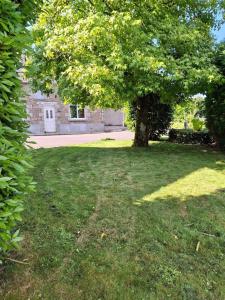 a tree in the middle of a yard with a house at Emplacement camping car terrain privé cher l'habitant à Plœuc-L'Hermitage in Pourhon