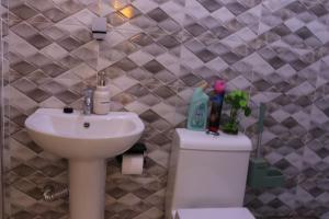 a bathroom with a sink and a white toilet and a sink at KilimaVista Homes 1 bedroom apartment in Kimana +15 photos