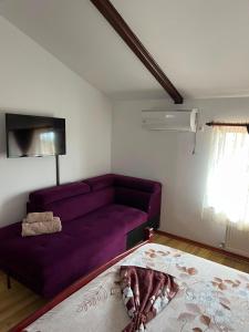 a living room with a purple couch and a tv at Casa Dyny 2 Mai in 2 Mai