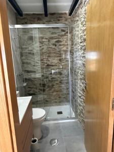 a bathroom with a shower and a toilet at A casa do Avô Cruzes in Cerejais +9 photos
