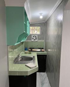 a kitchen with a sink and a green cabinet at D Mountain Beach Resort - Beachfront in Puerto Galera +95 photos