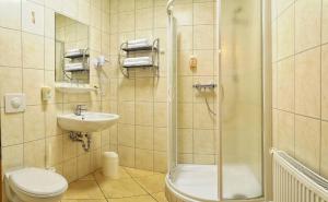 a bathroom with a shower and a toilet and a sink at Gasthof Schondelmaier in Oschersleben
