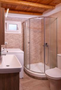ein Badezimmer mit Dusche, Toilette und Waschbecken in der Unterkunft Greg's cottage in Soúrpi + 11 Fotos