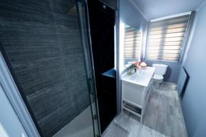 a bathroom with a shower and a sink and a toilet at Casa Jardin Huesca Ciudad in Huesca