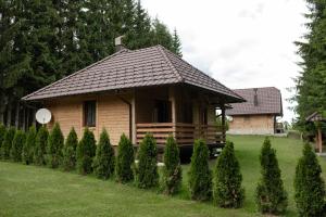 a small house in a yard with a row of trees at Vile Stefan in Zaovine