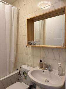 a bathroom with a sink and a toilet and a mirror at Appart 3 pièce hyper centre Strasbourg in Strasbourg +19 photos