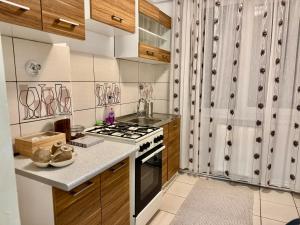 a kitchen with a stove top oven in a room at Apartament Central Pietonalul Unirii in Botoşani