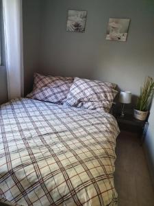 a bed with a plaid comforter in a bedroom at Domki w BOSZKOWIE in Boszkowo