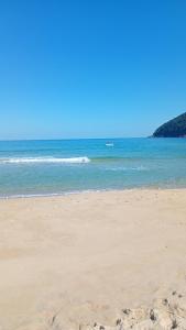 a sandy beach with the ocean in the background at FOLHA HOUSE Experience in Paraty +14 photos